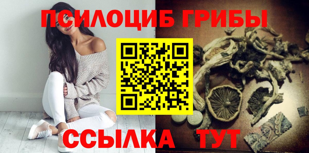 Анжеро-Судженск  Галлюциногенные грибы Psilocybe  купить   Вход с VPN 